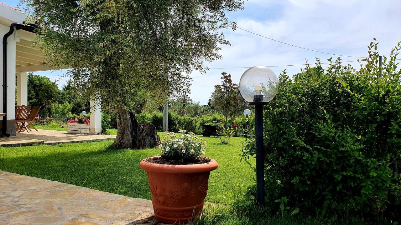 Villa Leone 2 Pisticci Eksteriør billede