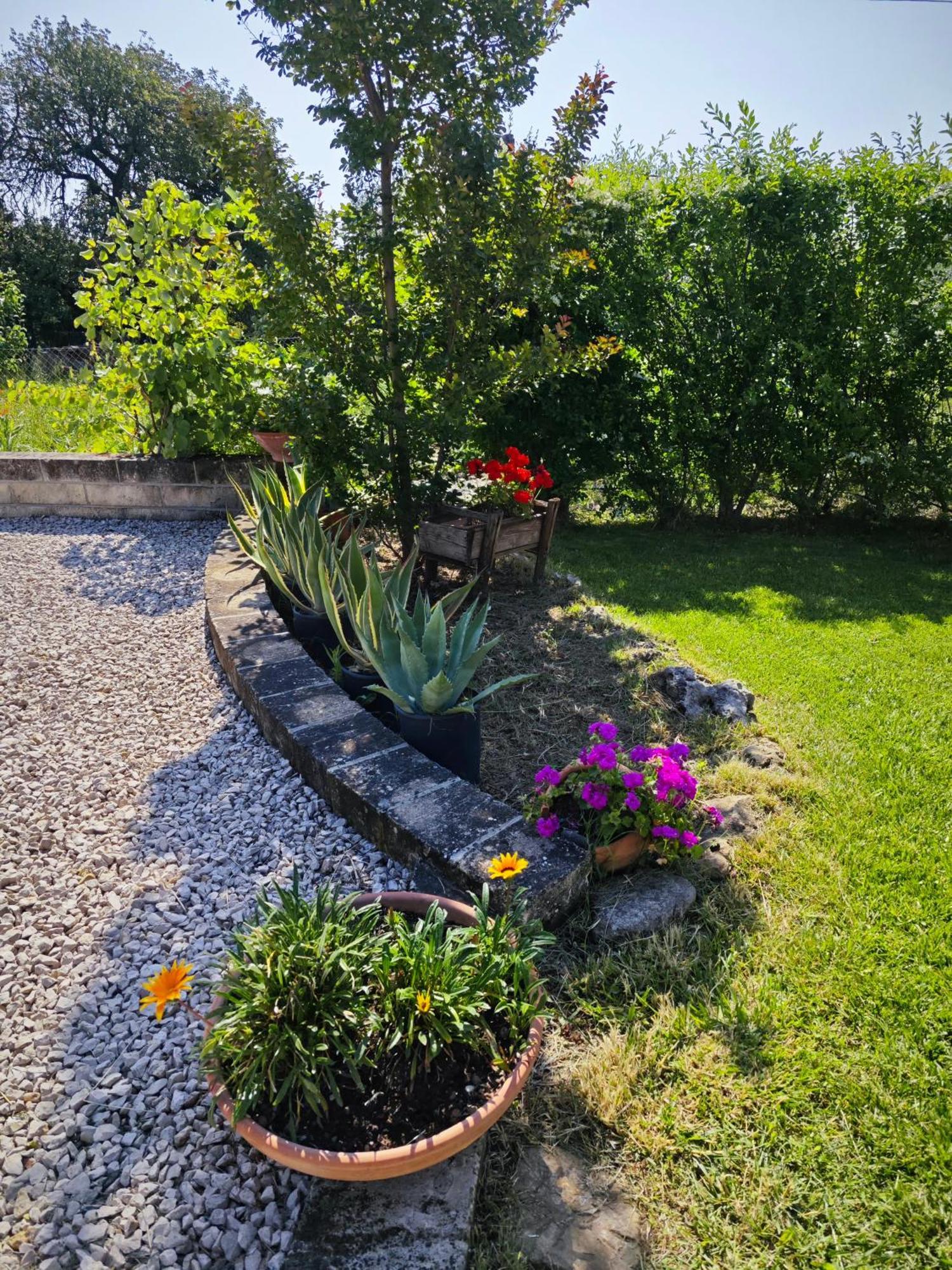 Villa Leone 2 Pisticci Eksteriør billede
